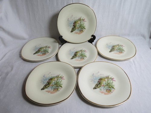 Assiettes à - 6,