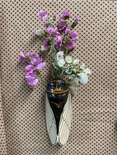 Jerome Massier  Cigale