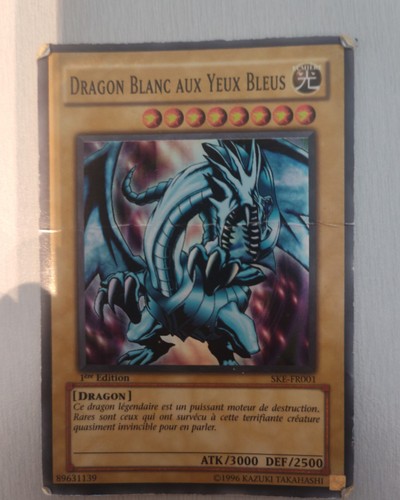 Dragon blanc aux yeux bleus - dragon,