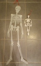 2 Squelettes Décoration