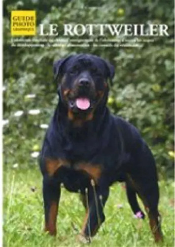 Rottweiler filippo - le, rottweiler,