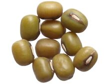 Haricot Mungo Vert AB (Soja) - Vigna Radiata - SEM03