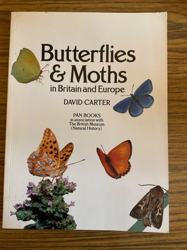 Butterflies moths in britain - moths,