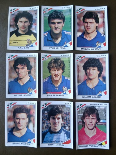 Image panini vache - la, rit