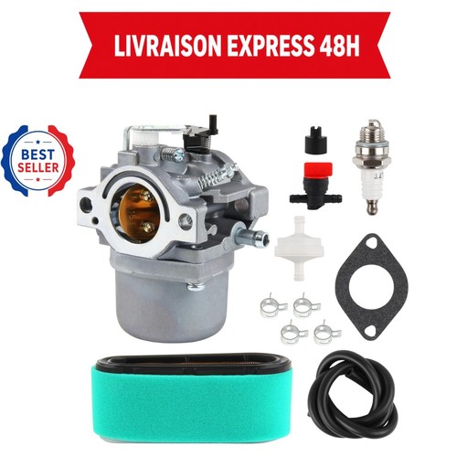 Carburateur docas 799728 - 799728, pour