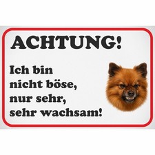 Bouclier Spitz Nain Chien -
