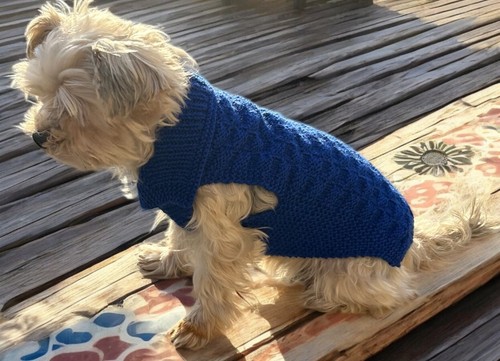 Pull chien pour petit - petit,