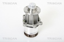 TRISCAN Pompe à eau