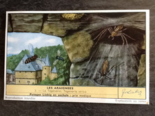 CHROMO LIEBIG SERIE LES