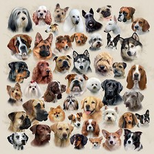 Dog Breeds Paper Napkins Dog Face Dog Lover Decoupage 3 ply Luxe Serviettes x 20