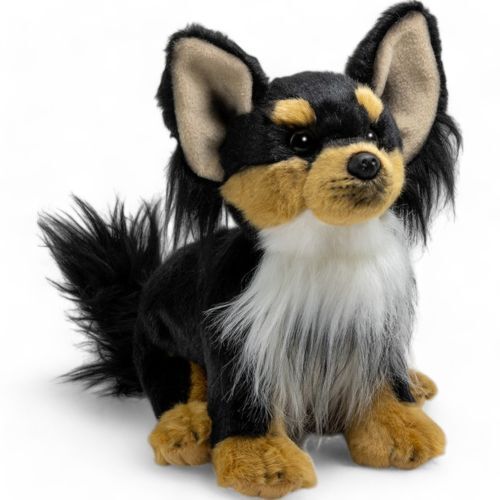 Chihuahua assis noir marron - chihuahua, noir-marron
