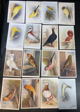 16X FEATHERED WORLD CANARY AND CAGE BIRD LIFE TRADE CARDS ISSUED IN 1910 NON P/C