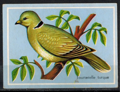 Carte chromo image - carte, chromo-image