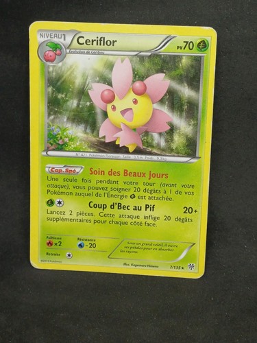 Carte pokémon tempête - carte,
