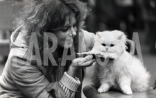 Photo De Presse Vintage UK, Fille Coiffe Un Persan Chinchilla, Tirage 19x13 Cm