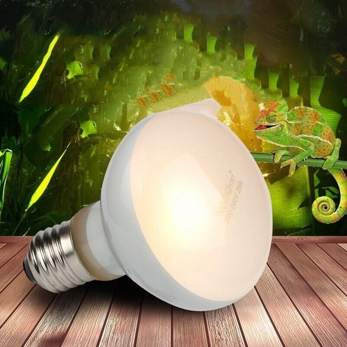 Pack lampes chauffantes - 2,