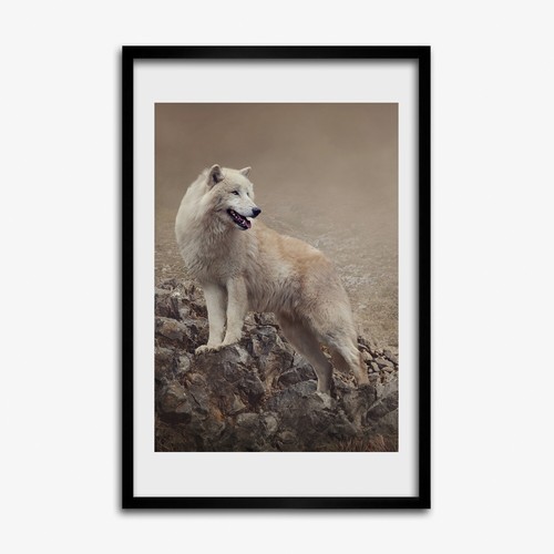 Tulup photo salon - tulup,