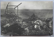 photo ancienne. guerre . avion