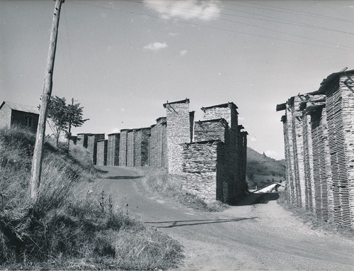 Bois 1960 séchage des - séchage,