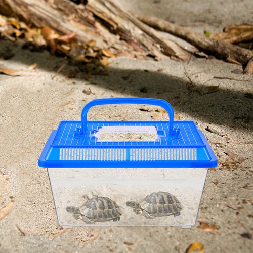 Porte tortues créatif - porte-tortues,