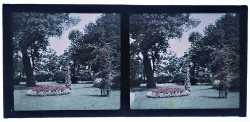 Stéréo autochrome jardins - 6,