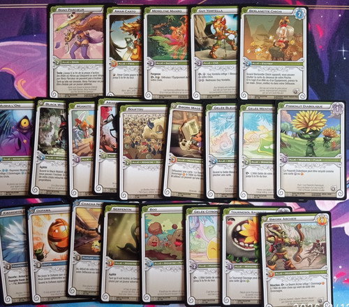 Lot cartes dofus - cartes, monstres