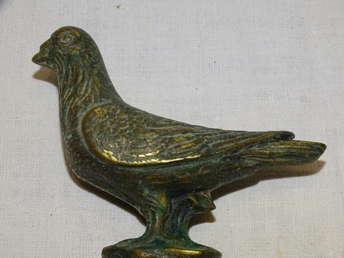 Ancien petit sujet - sujet, pigeon