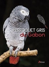 Perroquet gris du Gabon de