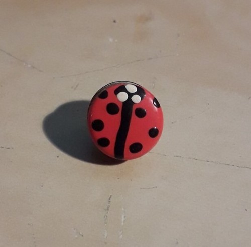 Pins coccinelle - pins,