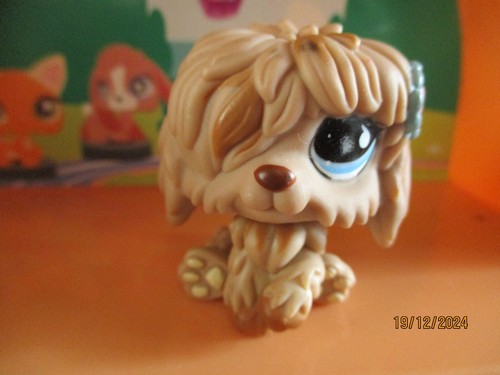 Petshop chien bobtail - petshop,