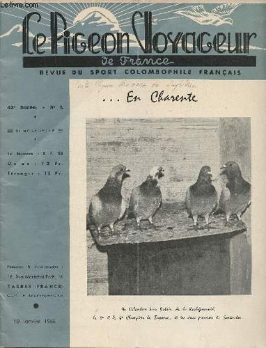 Pigeon voyageur france - de,