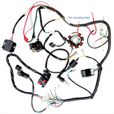 ELECTRIC WIRING HARNESS FOR 200CC 250CC Vitacci 250 pentora ATV Quad Buggy