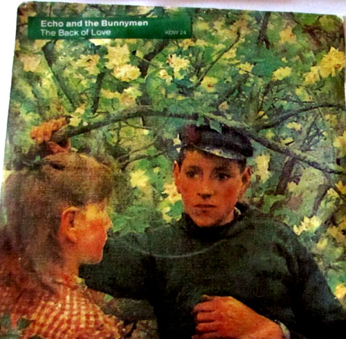 Echo and the bunnymen - ,
