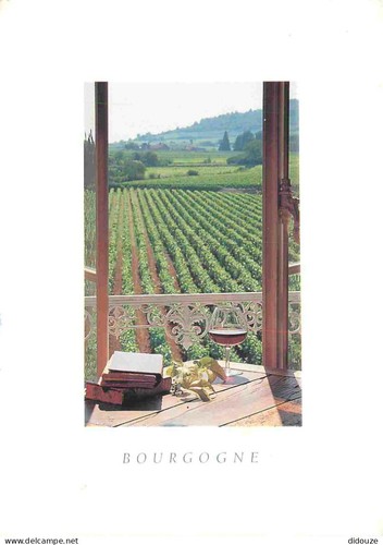 Carte postale vignes - vignes,
