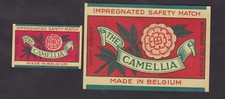  Antique Tag Matches Belgium BN24838 Flower Camellia 