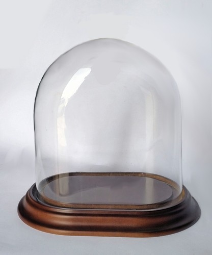 Cloche verre ovale - en,