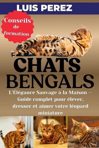 Chats bengals l gance - bengals:, l'?l?gance