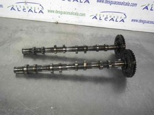 ARBRE À CAMES / 598597 POUR