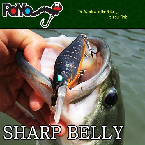 Payo poisson nageur sharp - payo,