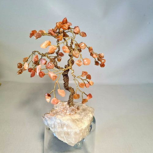 Pierre dur arbre - 🔅,