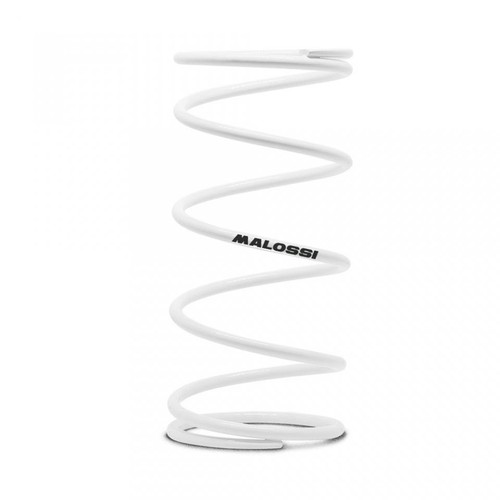 Ressort embrayage malossi - d,