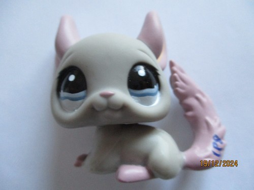 Petshop chinchilla 1165 - petshop,