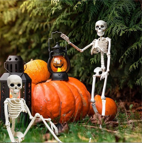 Squelette articulé halloween - squelette,