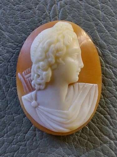 Camée profil apollon - apollon, du