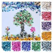 250g Naturel Mer Coque