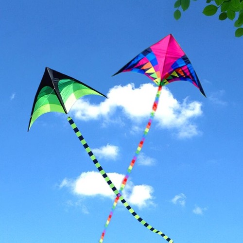 Large rainbow delta kite - delta,