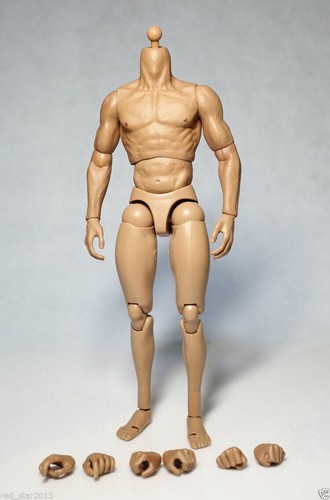 Toy 6 muscular body - zc,