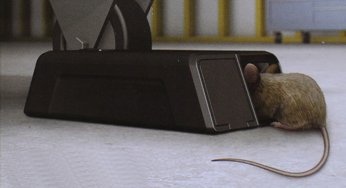 Piège électrique pour souris - piège,