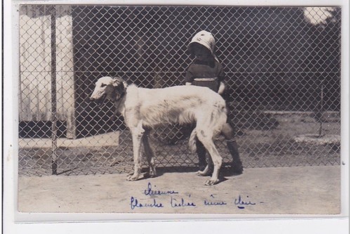Cyprien carte photo - :,