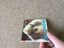 MARABOUT FLASH  385 les